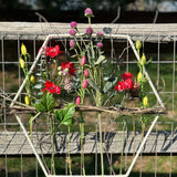 Floral Hoop Wreaths