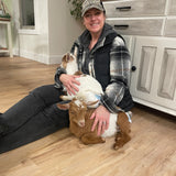 Happy Hooves On Demand Goat Experience