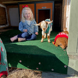 Happy Hooves On Demand Goat Experience