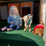 Goat Cuddle Session At The Farm