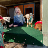 Happy Hooves On Demand Goat Experience