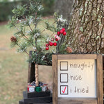 Naughty, Nice, I Tried is shown displayed on a ladder outside with our mini Christmas Tree.  Each item sold separately.