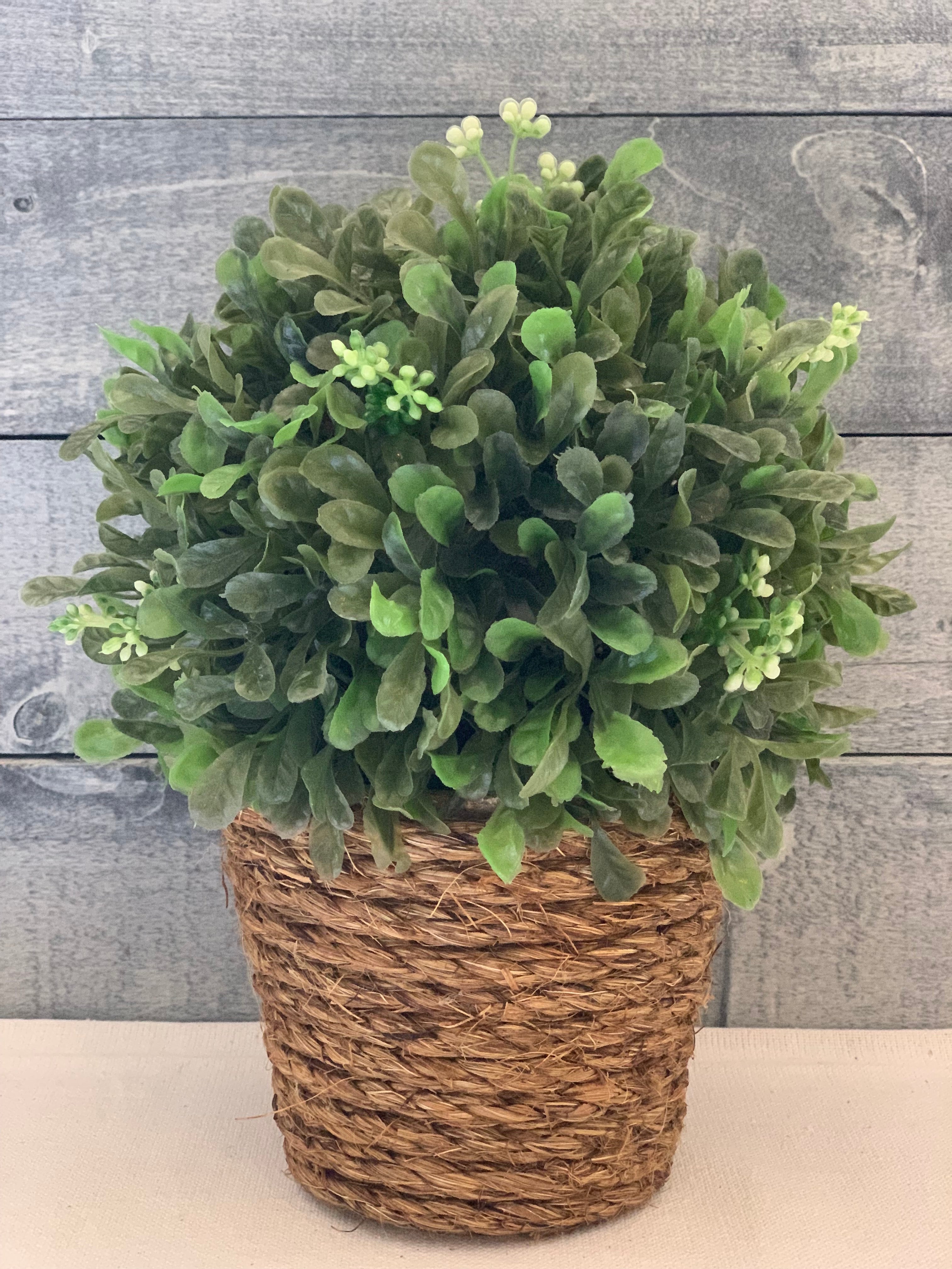 Topiary with Twine Rope shows an image of the topiary sitting on a table.