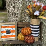 Orange and White Stripe Thankful, Grateful, Blessed (Pumpkin) shows a picture of the sign sitting outside with the black and white stripe burlap vase and pumpkin and floral embellishments.  Items are each sold separately. Pumpkins not eligible for purchase.
