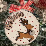 The ornament is displayed hanging on a tree